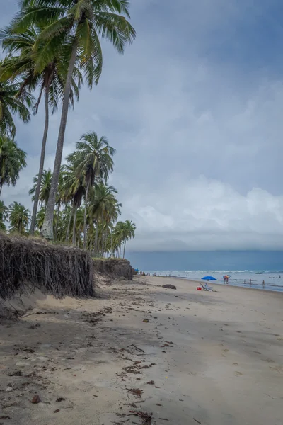 Plages brésiliennes - Paiva Beach, Pernambuco - Brésil — Photo