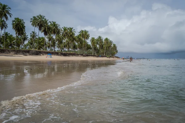 Brazilské pláže - pláž Paiva, Pernambuco - Brazílie — Stock fotografie