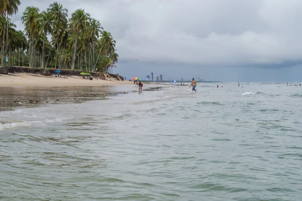 Brazylijski plaże - plaża Paiva, Pernambuco - Brazylia — Zdjęcie stockowe