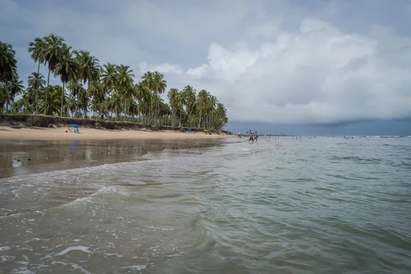 Brazilské pláže - pláž Paiva, Pernambuco - Brazílie — Stock fotografie