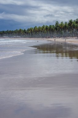 Brezilyalı plajlar - Paiva plaj, Pernambuco - Brezilya