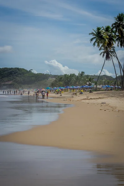 Бразильський пляжів - Пайва пляж, Пернамбуку - Бразилія — стокове фото