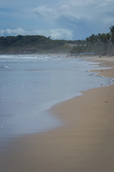 Brazil strand - puha Beach, Pernambuco - Brazília — Stock Fotó