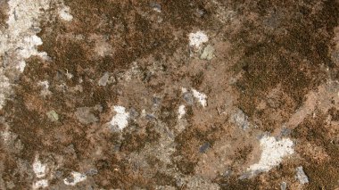 Taş duvar ve güzel bir yapı. Kaya arkaplanı.