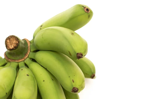 Bananas Verdes Orgânicas Isoladas Sobre Fundo Branco — Fotografia de Stock