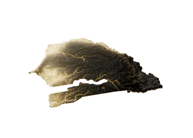 Senegal Haritası Altın Metalik Doku Haritası Altın Rezervleri ve Altın Madencilik Konsepsiyonu 3D