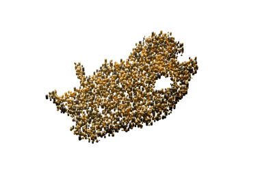 Güney Afrika Haritası Yüksek Kalite Altın Metalik Bakır Sütunlar 3D İllüstrasyon