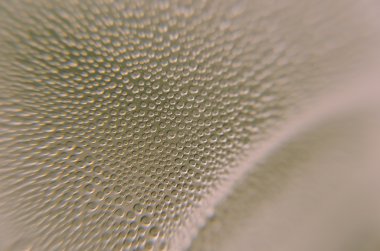 su damlaları arka plan bulanıklık