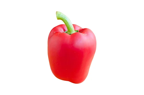 Peper rojo dulce sobre fondo blanco —  Fotos de Stock