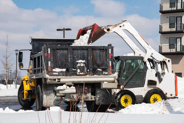 loading snow onto a truck removal cityfrozen