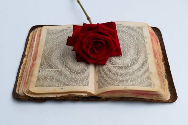 Bible with rose holy old love flower clipart