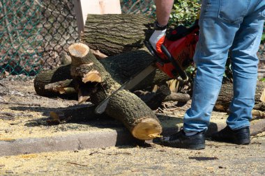 Bir adam elektrikli testereyle ağaç kesiyor.