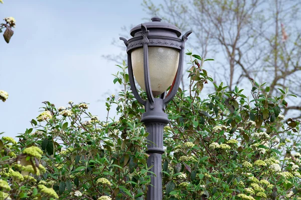 Straatlamp Voor Verlichting Elektrisch — Stockfoto