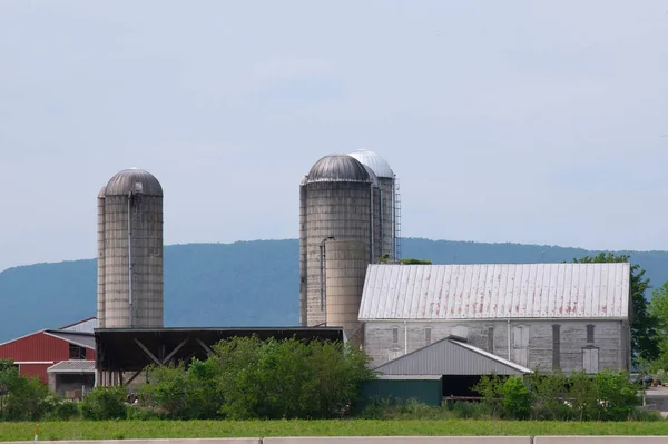 Grain storage silos farm metal steel industry nature shiny