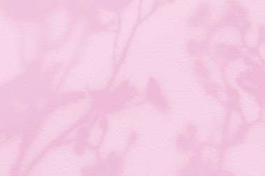 Doğal çiçek gölgeleri gün doğumunda açık pembe duvarda bulanıklaşır.. 