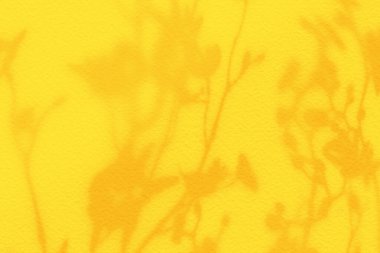 Doğal çiçek gölgeleri gün doğumunda açık sarı renkli duvarda bulanıklaşır. Minimum konsepte sahip yaz plajı.