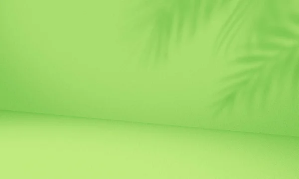Colore Verde Vuoto Con Ombra Pianta Foglia Sfondo Studio Parete — Foto Stock