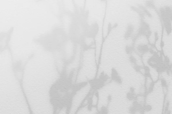 Natural Flower Shadows Blurred Light White Gray Color Wall Home — Stock Photo, Image