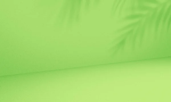 Leere Grüne Farbe Mit Blattpflanzenschatten Auf Dem Hintergrund Des Wandstudios — Stockfoto