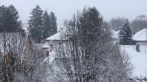 Neige Vue Hiver Sur Les Toits Kaposvar Hongrie 2021 — Video