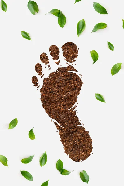 mark of the foot  with soil and fresh green leaves