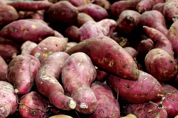 Batatas Doces Cruas Uma Verdura Raiz — Fotografia de Stock