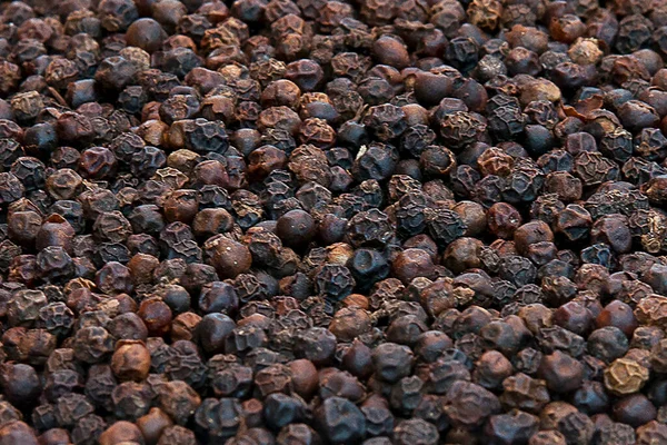 Spices Black Pepper Abundance — Stock Photo, Image