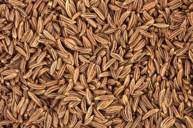 Cumin seeds - a spice