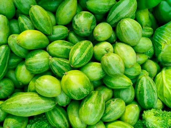 Spidse Gourd Grøn Grøntsag - Stock-foto