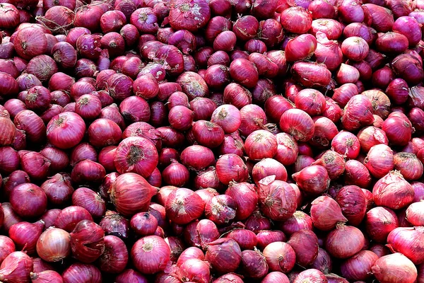 Small Sized Indian Onions Store - Stock-foto