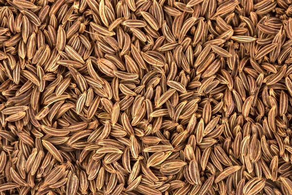 Cumin Seeds Spice — Fotografia de Stock