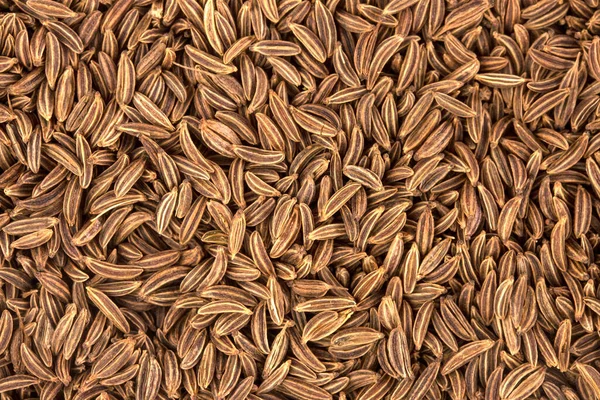 Cumin seeds - a spice