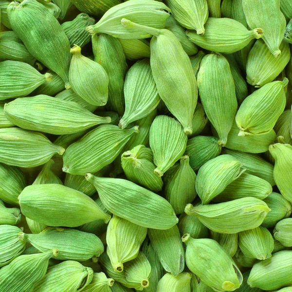 Especiarias Cardamomos Verdes Pequenos — Fotografia de Stock