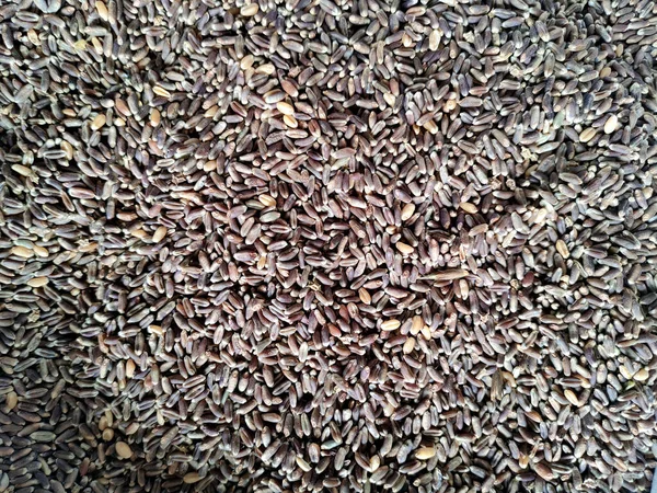 Yüksek Besin Lifleri Için Kara Buğday Taneleri — Stok fotoğraf