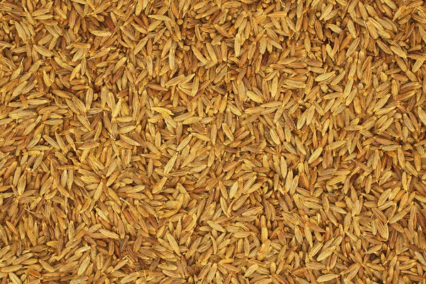 Spices Cumin Seeds Background — Stock Photo, Image