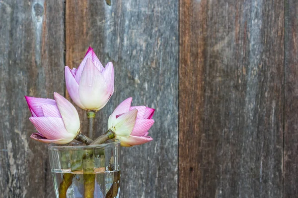 Lotus flower on wood background — Stock Photo, Image