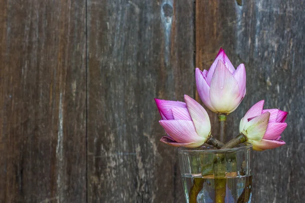 Lotus flower on wood background — Stock Photo, Image