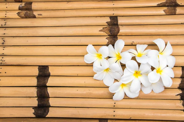 Cute Frangipani Bamboo Desk — Stock Photo, Image