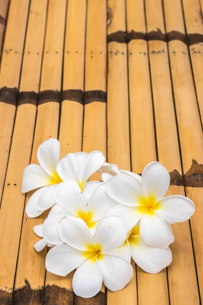 Mignon Frangipani Sur Bureau Bambou — Photo