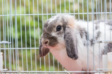 Ne olur ne olmaz diye...