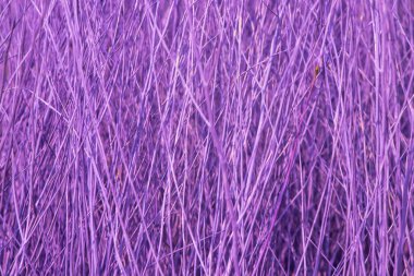 arkaplan için mor renkli dallar