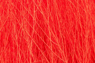 arkaplan için kırmızı renkli dallar