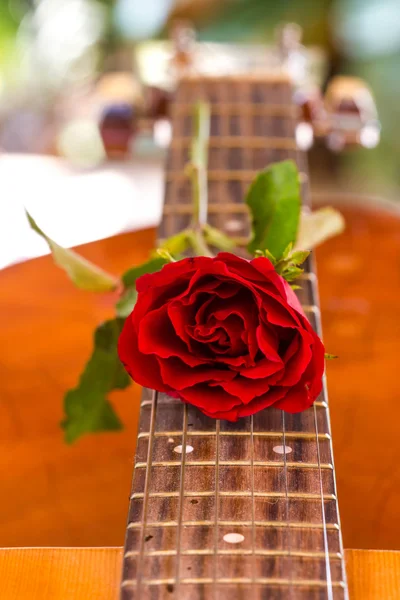 gitar ve gül