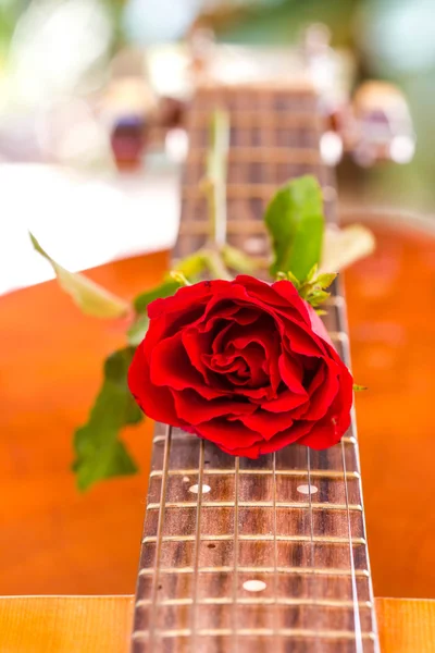 Guitar and rose — Stock Photo, Image