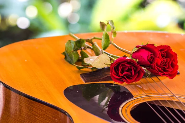 Guitar and rose — Stock Photo, Image