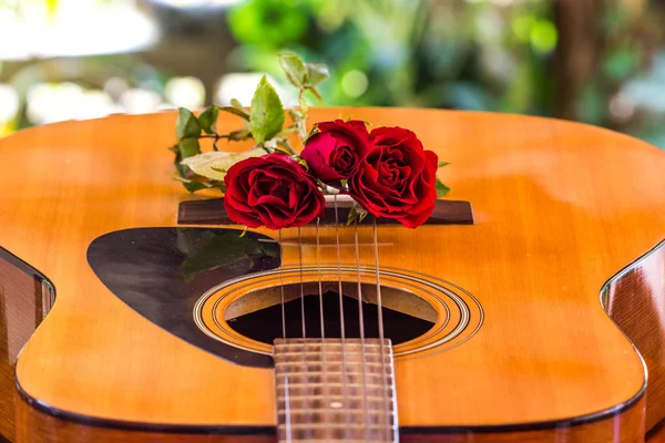 Guitar and rose Royalty Free Stock Photos