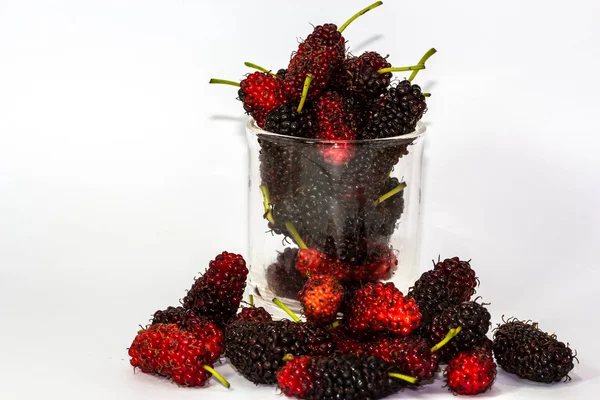 Fresh organic mulberry in glasses on white background. — Stock Photo, Image