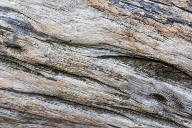 Ahşap dokular. Soyut arkaplan