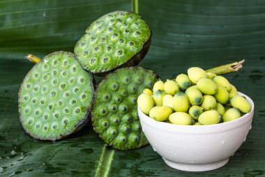 Muz Yaprak Lotus tohum