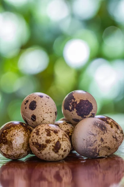 Перепелиные яйца на деревянном столе — стоковое фото